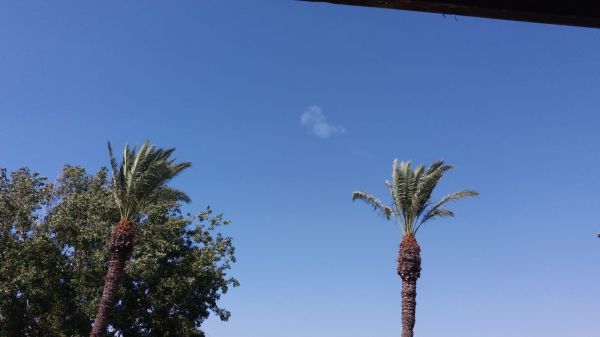 צה"ל שיגר פטריוט לעבר כטב"מ מסוריה