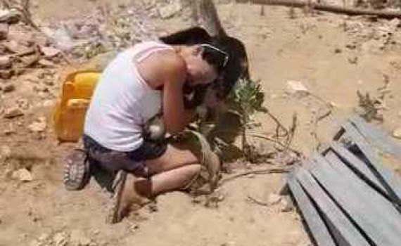 הכלב הגנוב אותר ברהט; צפו באיחוד המרגש