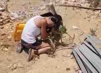 הכלב הגנוב אותר ברהט; צפו באיחוד המרגש