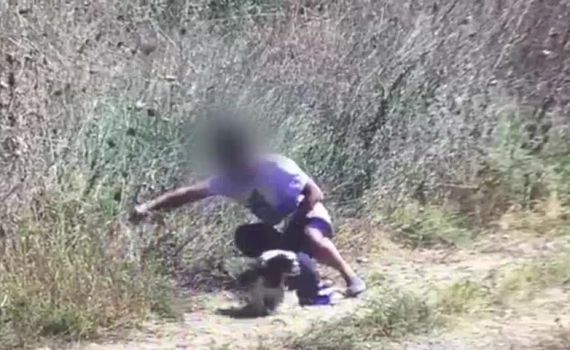 נתפס מצית סדרתי של שריפות בירושלים. צפו