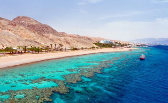 שווה את המטוש באף? חזרתי מאילת כדי לספר