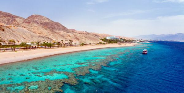 שווה את המטוש באף? חזרתי מאילת כדי לספר