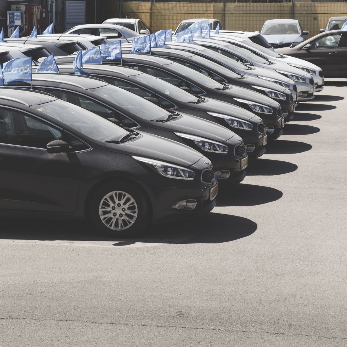 אלדן במבצע: בלעדי לעמיתי "חבר" למשך שבועיים בלבד