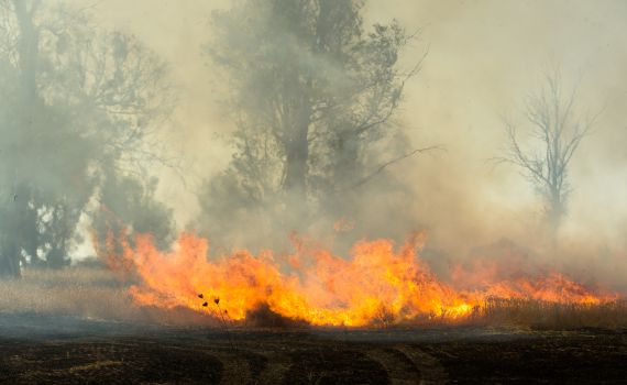 "לאור השקט"? שלוש שריפות פרצו בעוטף עזה