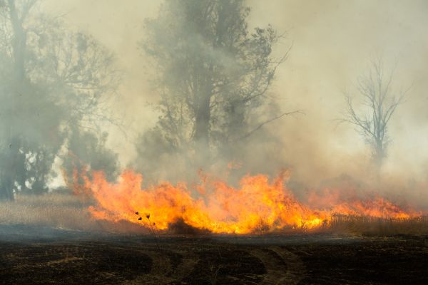 "לאור השקט"? שלוש שריפות פרצו בעוטף עזה