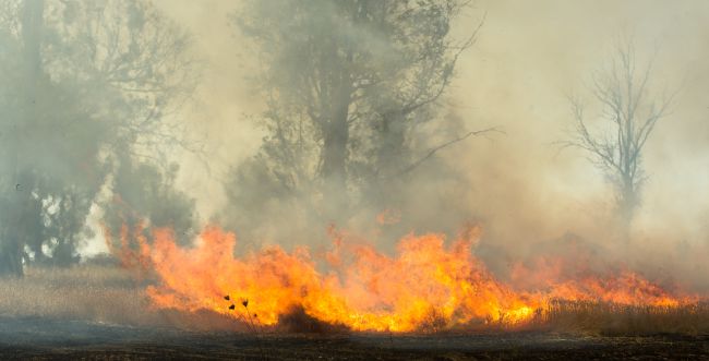 ÐÐ¾ÑÐ¾Ð¶ÐµÐµ Ð¸Ð·Ð¾Ð±ÑÐ°Ð¶ÐµÐ½Ð¸Ðµ