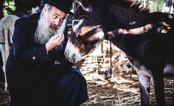מביא את המשיח: שולי רנד בסינגל חדש• צפו