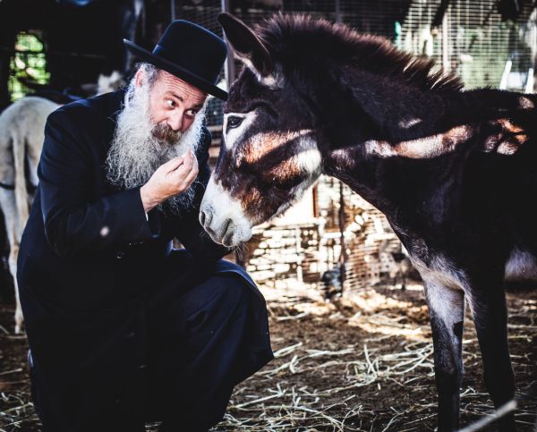 מביא את המשיח: שולי רנד בסינגל חדש• צפו