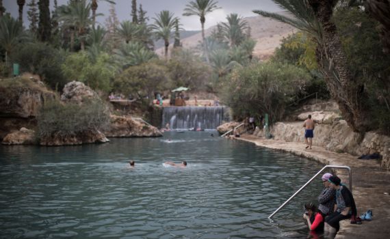 בהלת העכברת: זו הודעת הפייק ניוז שרצה ברשת