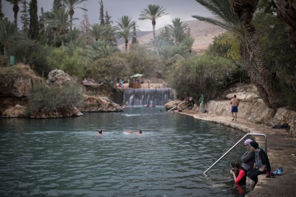 בהלת העכברת: זו הודעת הפייק ניוז שרצה ברשת