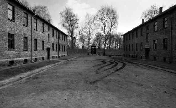 ארה"ב גירשה שומר ממחנות השמדה לגרמניה