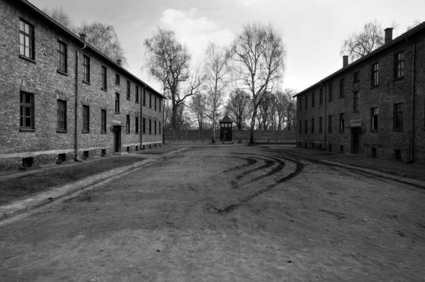 ארה"ב גירשה שומר ממחנות השמדה לגרמניה