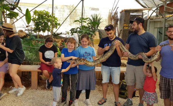 כבר ביום הראשון: אלפים גדשו את אתרי גוש עציון