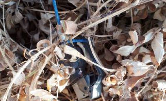 תיעוד: רימון מחובר לבלון אותר בעוטף עזה