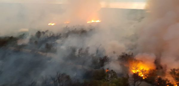 טרור ההצתות חזר? שריפת ענק השתוללה בים המלח
