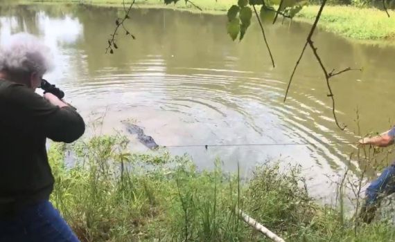 מבצע סבתא: אישה ירתה למוות בתנין שפלש לביתה