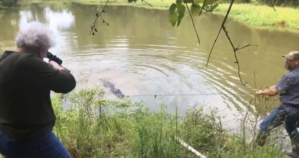 מבצע סבתא: אישה ירתה למוות בתנין שפלש לביתה