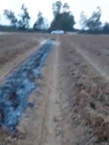 בשקט בשקט: טרור הבלונים נמשך גם היום. צפו