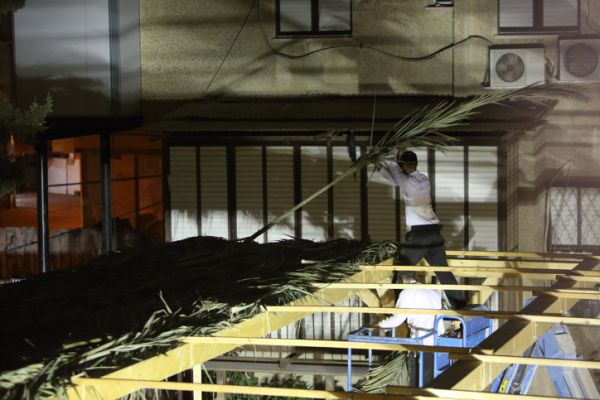 האם מותר להניח סכך על גבי פרגולה?