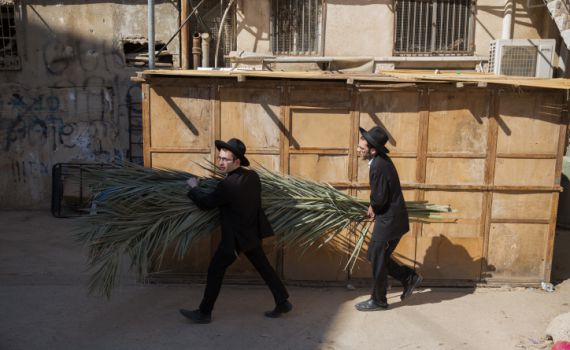 השבת היא לא 'מעבר' בין יום כיפור לחג הסוכות