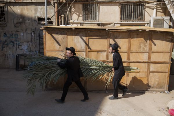 השבת היא לא 'מעבר' בין יום כיפור לחג הסוכות