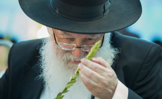 שני סיפורים קטנים- גדולים על ר' אריה לוין וחג הסוכות