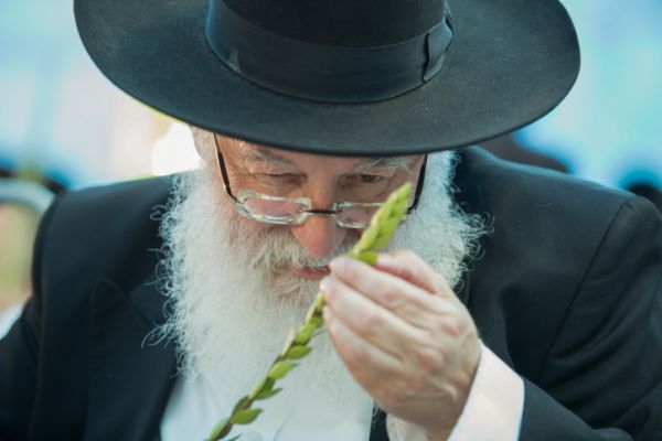 שני סיפורים קטנים- גדולים על ר' אריה לוין וחג הסוכות