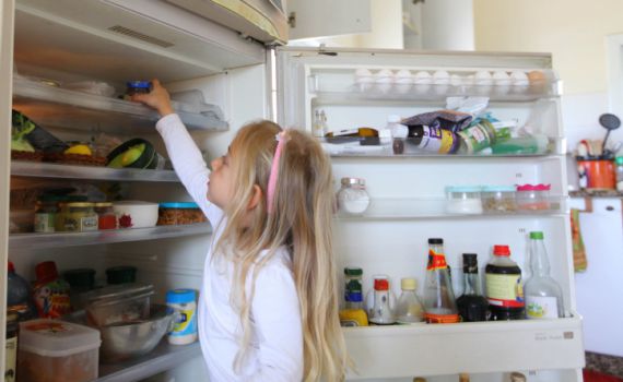 מקרר מהדרין וחג"ז: שאלות ותשובות הלכטכניות לרה"ש