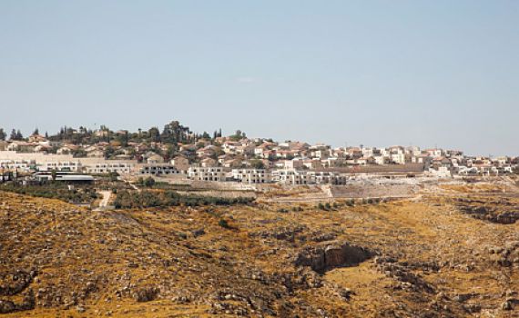 צעק "אללה וואכבר": ערבי תקף אזרחים בישוב תקוע ונוטרל