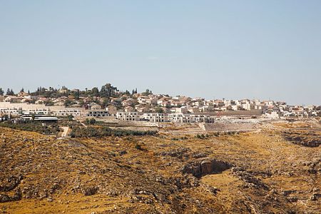 צעק "אללה וואכבר": ערבי תקף אזרחים בישוב תקוע ונוטרל