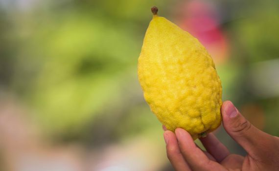 אל תזרקו: הדבר הכי טוב שאפשר להכין מאתרוגים