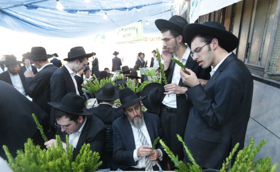 גלריה • 4 המינים ובניית סוכה: ההכנות לחג בירושלים