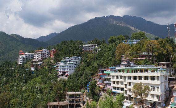 הודו: צעירה ישראלית נפטרה מתגובה אלרגית