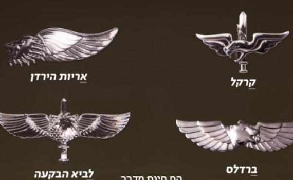 מדוע סיכות הלוחם בצה"ל מצמיחות כנפיים?
