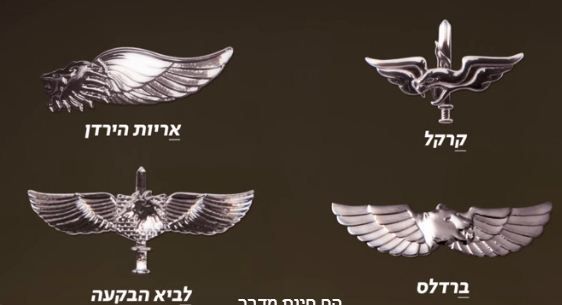 מדוע סיכות הלוחם בצה"ל מצמיחות כנפיים?