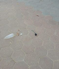 בלון תבערה נחת בבית ספר במועצה אזורית אשכול