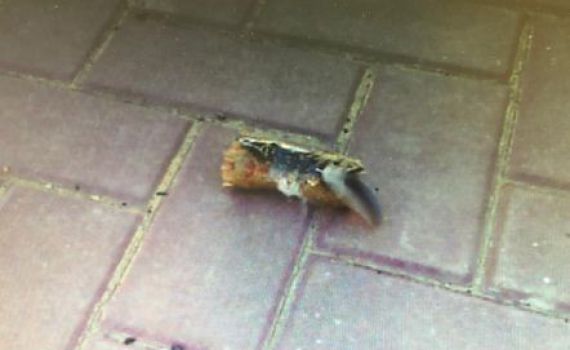 פריט תבערה נחת סמוך לגן ילדים בשדרות