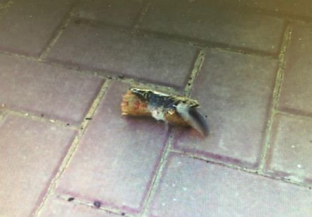 פריט תבערה נחת סמוך לגן ילדים בשדרות