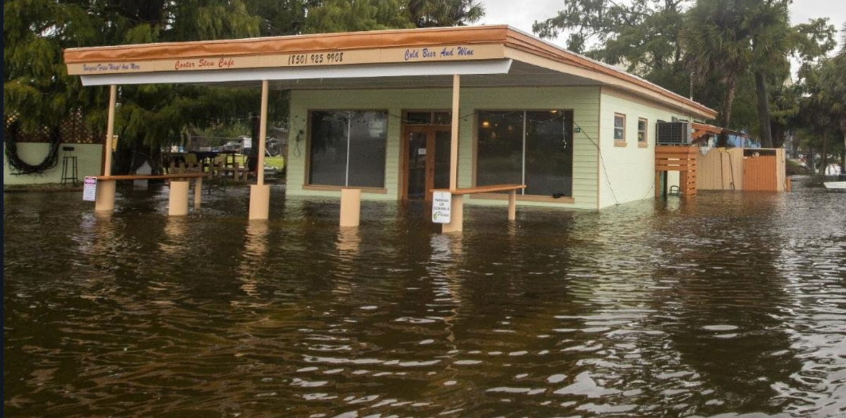 ארה"ב: הרוג אחד ונזק רב מסופת ההוריקן "מייקל"