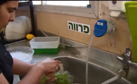 משגיחת כשרות? חפשי לך עבודה אחרת. צפו