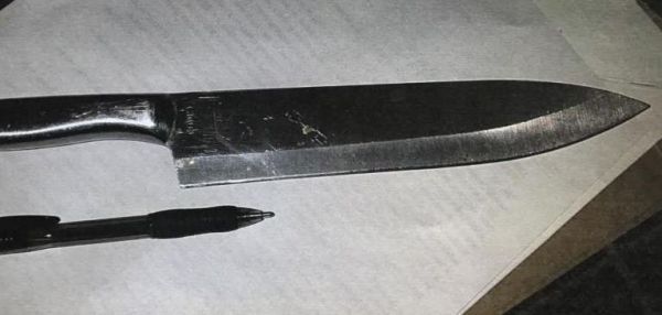 מעצר בתיכון: סוכל פיגוע דקירה בבית ספר בפלורידה