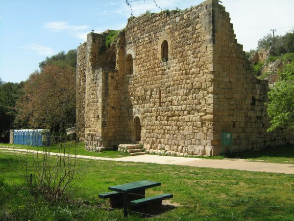 בוחרים בטבע: פעילויות רשות הטבע והגנים לבחירות