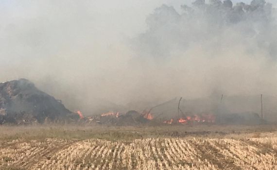 שריפה בדרום: תושבי מושב ברכיה פונו מבתיהם