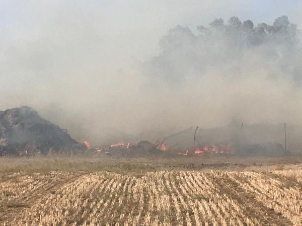 שריפה בדרום: תושבי מושב ברכיה פונו מבתיהם