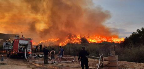 בלתי נתפס:הנתונים מאחורי טרור הבלונים נחשפים