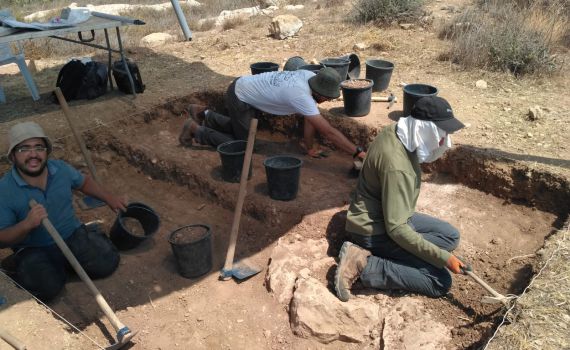 חפירה ארכיאולוגית מצאה מבנה מימי בית חשמונאי