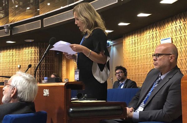 מועצת אירופה: "ישראל פוגעת בקטינים פלסטינים"