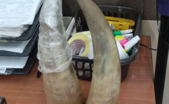 מזהים? זה מה שניסו ערבים להבריח במעבר אלנבי