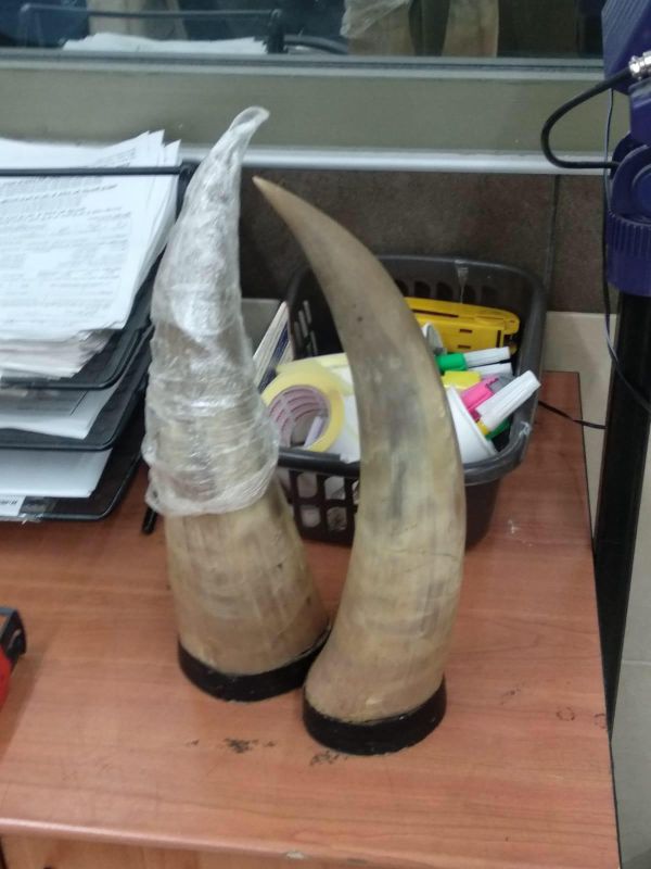 מזהים? זה מה שניסו ערבים להבריח במעבר אלנבי