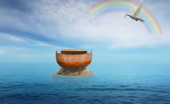 כך תעברו את המבּול בשלום